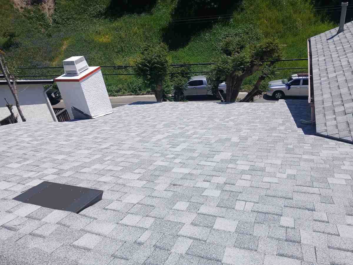 Gray shingle roof slope with a low vent and a white chimney above a tree-lined street